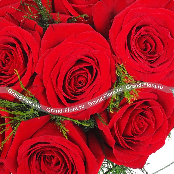 Монобукет из красных роз - История любви