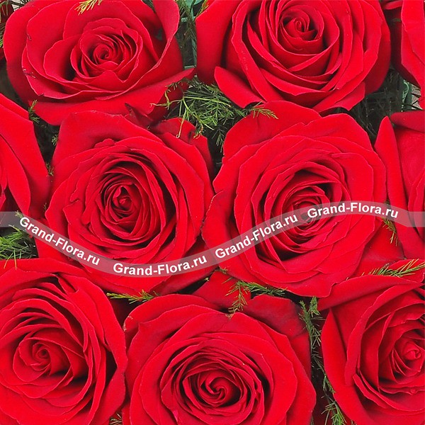 Монобукет из красных роз - История любви