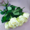 Чистота чувств - букет из белых роз (50см) 2