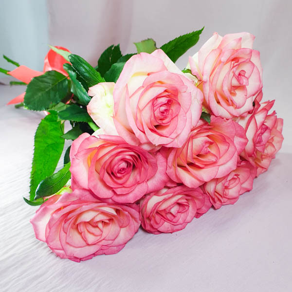 Букет из розовых роз (60 см)