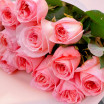 Букет розовых роз (50см) 2