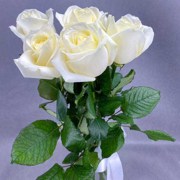 Букет из белых роз (50-60 см) под ленту